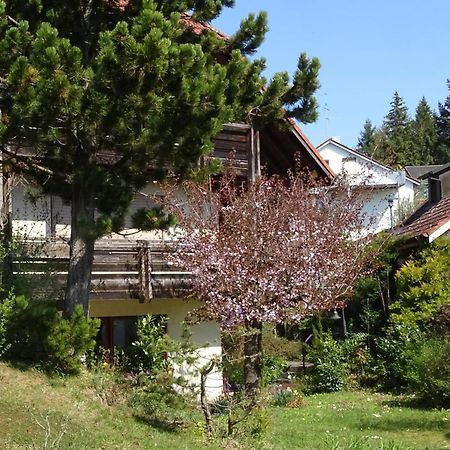 Ferienwohnung Heidi Batzlen Daisendorf Esterno foto